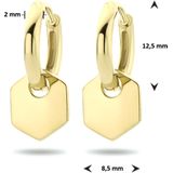 Klapoorringen - Zeshoek - Zilver - Verguld - 12.5 mm