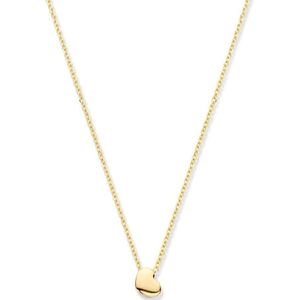 collier hart 42 - 45 cm 14K geelgoud 4023879
