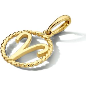 hanger sterrenbeeld 14K geelgoud 4024041