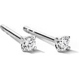 Oorknopjes - 14K Witgouden Oorknoppen - Diamant H Si - Gepolijst