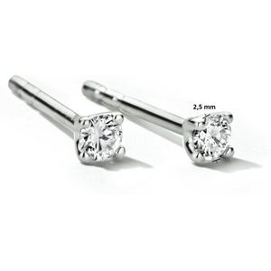 Oorknopjes - 14K Witgouden Oorknoppen - Diamant H Si - Gepolijst