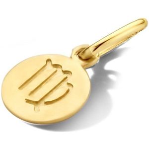 Geelgouden Hanger - Sterrenbeeld Kreeft - 14k - Hoogte 1.2cm - Diameter 6mm