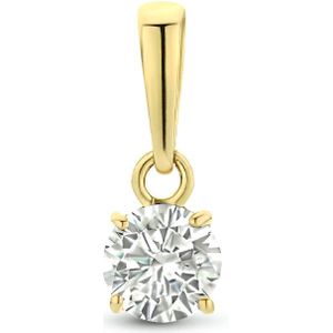 Hanger - Zirkonia - 14K Geelgoud