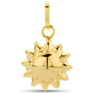 Hanger - Geelgoud - 14K - Zon - 16 mm Hoogte