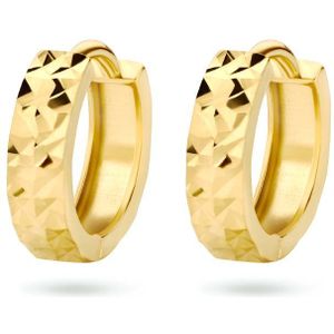 goud (geelgoud) klapoorringen 3,0 mm gediamanteerd 4024480