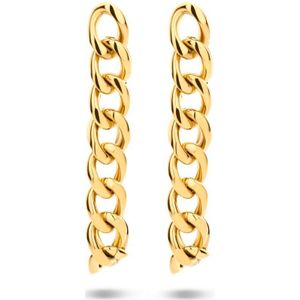 Oorhangers Schakel Ion Plating Edelstaal