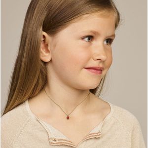 Hanger Lieveheersbeestje