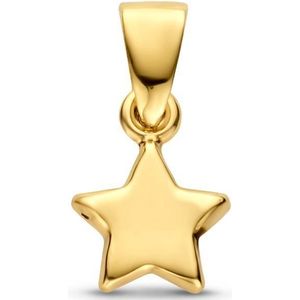 Hanger - Geelgoud - Ster - 14K - Totale Hoogte 14mm