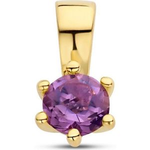 hanger met geboortesteen zilver verguld (geel) 2102813