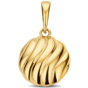 Hanger Rondje 14K Geelgoud