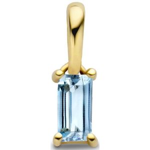 14K geelgoud hanger met geboortesteen 4027203