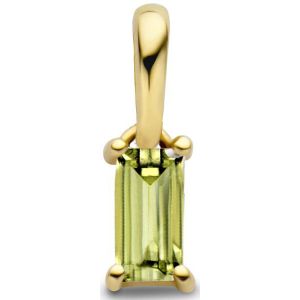 14K geelgoud hanger met geboortesteen 4027205