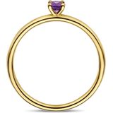 Ring - Amethist - 14K Geelgouden Ring - 3,5 Mm - Gepolijst