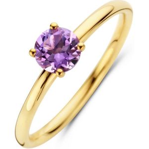 Ring - Amethist - 14K Geelgoud - Breedte 5mm