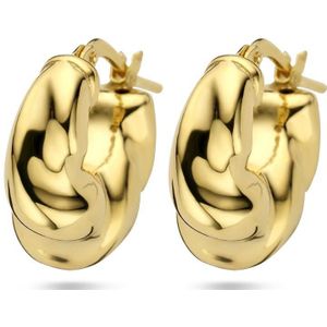 Zilver Verguld (Geel) Oorringen 1 Micron 2103227