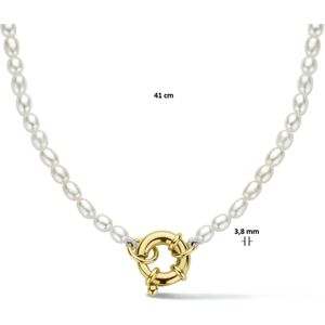 Collier - Geelgoud - 3,8 Mm - 41 Cm - Met Groot Veerslot