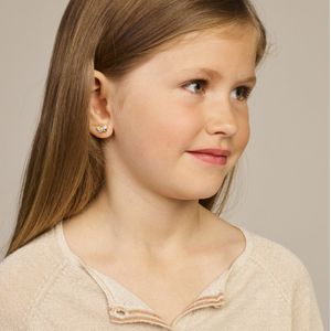 oorknoppen vlinder zirkonia zilver gerhodineerd 1336982