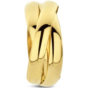 hanger ringetjes 14K geelgoud 4028163