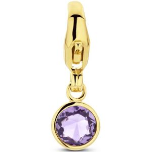 slotbedel met geboortesteen 14K geelgoud 4028175