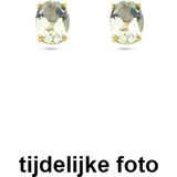 Oorknopjes - Groen - Amethist - 14K Geelgouden Oorknoppen - 8x6mm