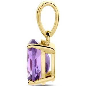 Hanger - Amethist - 14K Geelgouden Hanger - 14mm Hoogte