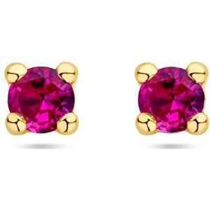 14K Geelgoud - Oorknoppen - Synthetisch Robijn