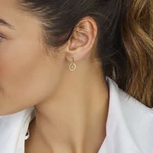 Oorhangers - Cirkel - Diamant 0.06ct - 14k Geelgoud - Dames