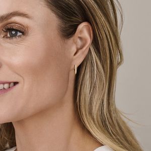 14K geelgoud klapoorringen zirkonia 4029545