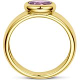 Ring - Amethist - 14K Geelgouden Ring - Dames - Gepolijst