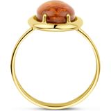 Ring - Amber - 14k Geelgouden Ring - 14 mm Breedte - Gepolijst