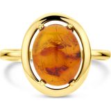 Ring - Amber - 14k Geelgouden Ring - 14 mm Breedte - Gepolijst