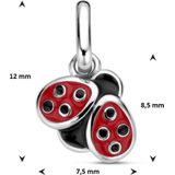 Zilver - Gerhodineerde Hanger - Lieveheersbeestje - Rood en Zwart Emaille