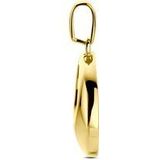 14K geelgouden hanger 21 mm - 4034349