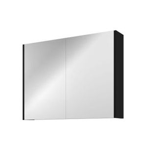 Proline Spiegelkast Comfort met spiegel op plaat aan binnenzijde 2 deuren 80x14x60cm Mat zwart 1808606