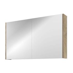 Proline Spiegelkast Comfort met spiegel op plaat aan binnenzijde 2 deuren 100x14x60cm Raw oak 1808651