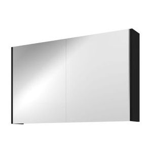Proline Xcellent spiegelkast met 2 glazen deuren - Mat zwart - 100x60cm