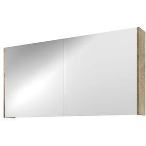 Proline Spiegelkast Xcellent met dubbel gespiegelde deuren, 2 deuren 120x14x60cm Raw oak 1808951