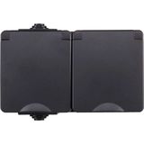 ION Industries - Contactdoos - Spatwaterdicht - 2-Voudig - Zwart