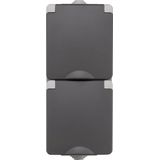 ION Industries - Contactdoos - Spatwaterdicht - Opbouw - 2-Voudig - Randaarde - Verticaal - Grijs