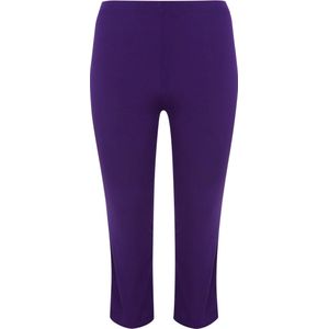 Tregging - DOLCE - Treggings