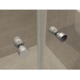 Wiesbaden Pendeldeur Dubbel 80cm Douche