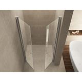 Wiesbaden Pendeldeur Dubbel 100cm Douche