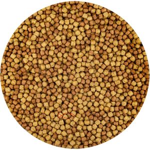 Vivani - Multi Season - Koivoer - 6mm - Geschikt voor Temperaturen Vanaf 8° C