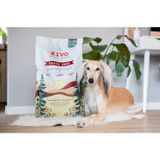 Kivo Petfood Hondenbrokken Verse Eend - 14 kg - Koudgeperst - Graanvrij