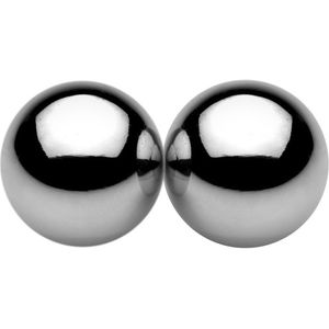 Magnetische Tepel Killers - Zilver