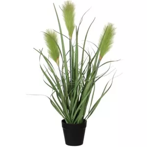 Cyprusgras in Pot - Grasstruik, Siergras, Decoratieve Kunstplant