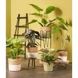 Bloempot - Grijs - Keramiek