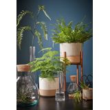 Mica Decorations - Voorraadpot Emily - Transparant - Glas - D30 x H32 cm