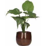 Bloempot - Wit - Keramiek