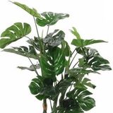 Mica Decorations - Monstera - Kunstplant - Groen - Kunststof - 100 cm